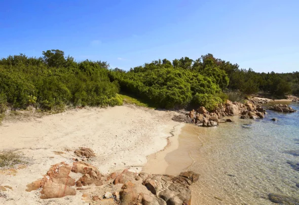 outstanding dedicated sandy beach outstanding dedicated sandy beach